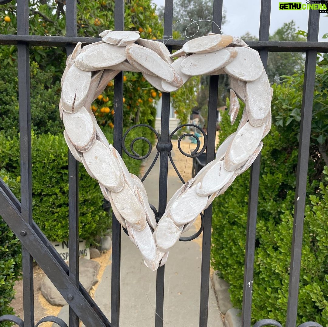 T.J. Thyne Instagram - “Love is all around” series continues 💜 see how many you spot today! Have a great day 💕