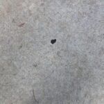 T.J. Thyne Instagram – “Love Is All Around” series continues. 😊💕 just strollin through the city streets, seein it everywhere. Happy weekend all😀