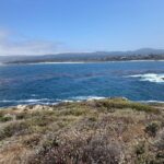 T.J. Thyne Instagram – 🎶 On the road again, Goin’ places that I’ve never been,
Seein’ things that I may never see again, And I can’t wait to get on the road again!” 🎶 love me some California 🚗 😊