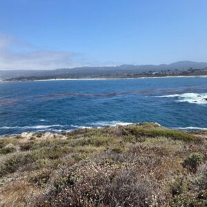 T.J. Thyne Instagram - 🎶 On the road again, Goin' places that I've never been,
Seein' things that I may never see again, And I can't wait to get on the road again!” 🎶 love me some California 🚗 😊