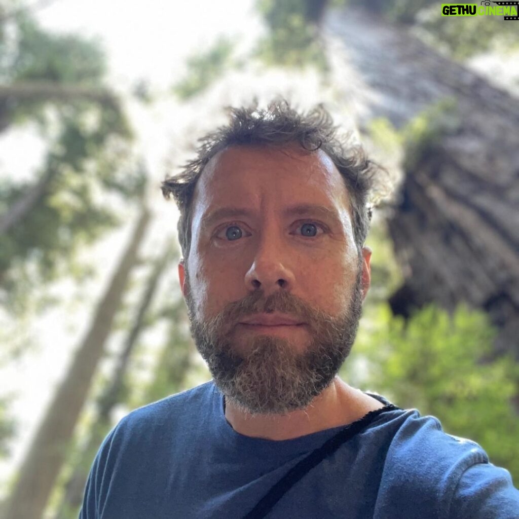 T.J. Thyne Instagram - “…from California to the New York island, from the redwood forest to the Gulf Stream waters This land was made for you and me”. Roadtrip NoCal 2021 🚗 🌲