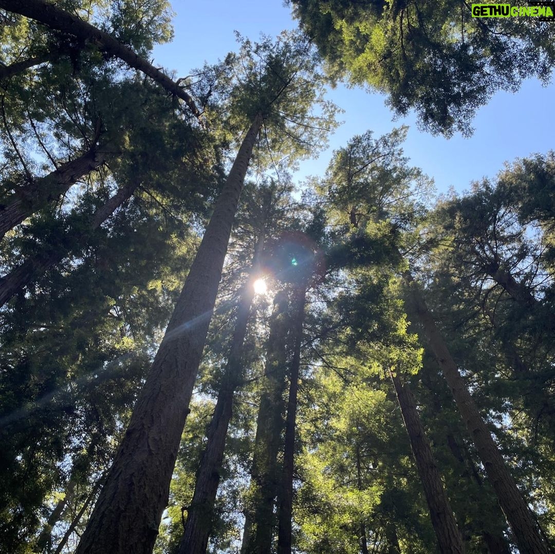 T.J. Thyne - 14.2K Likes - “…from California to the New York island, from the redwood forest to the Gulf Stream waters
This land was made for you and me”. Roadtrip NoCal 2021 🚗 🌲