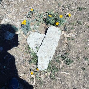 T.J. Thyne Instagram - Love Is All Around Series continues ❤️. While Strollin the streets. It’s everywhere, if you simply glance. Like...everywhere!☺️