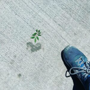 T.J. Thyne Instagram - Love Is All Around Series continues ❤️. While Strollin the streets. It’s everywhere, if you simply glance. Like...everywhere!☺️
