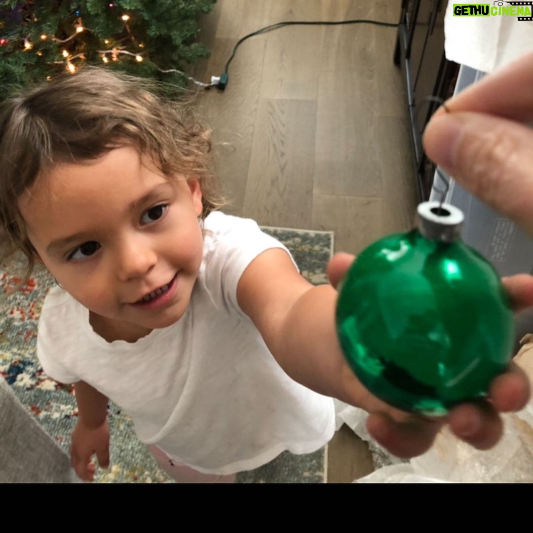 T.J. Thyne Instagram - Snow flakes applied, front doors adorned, advent calendars filled,cupcakes eaten, masks secured, needles swept, Grinch temperatures checked, and ornaments affixed. I think Christmas is a comin ππ βΊοΈ