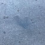 T.J. Thyne Instagram – Some of mine, and a few of yours. I LOVE that you are finding them in your own cities, towns, countries. In your strolls, hikes, and all around! Keep lookin, it’s everywhere ❤️ (and thanks for sending 😊.)