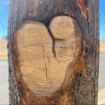 T.J. Thyne Instagram – Some of mine, and a few of yours. I LOVE that you are finding them in your own cities, towns, countries. In your strolls, hikes, and all around! Keep lookin, it’s everywhere ❤️ (and thanks for sending 😊.)