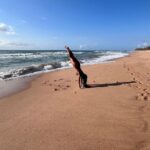 Taís Araújo Instagram - Sim, eu achei meu coração na Bahia❤️