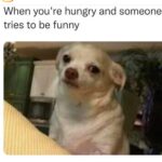 Tacarra Williams Instagram – I mean…. Where the wings…. CHIPS AND SALSA!!! ANYTHING!! LAX Airport