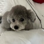 Taeyeon Instagram - 😇