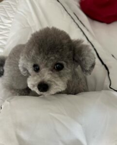 Taeyeon Instagram - 😇