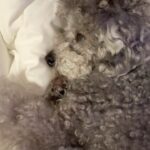 Taeyeon Instagram – 🩶ྀི