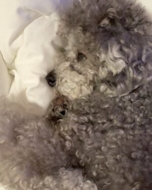 Taeyeon Instagram - 🩶ྀི
