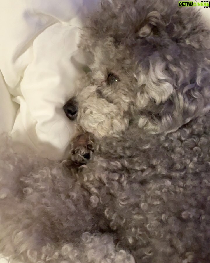 Taeyeon - 752.7K Likes - 🩶ྀི