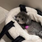 Taeyeon Instagram – 🩶ྀི