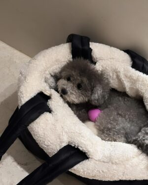Taeyeon Instagram - 🩶ྀི