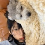 Taeyeon Instagram – 에휴