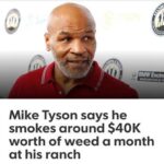 Tair Mamedov Instagram - Отмечу 40К подписчиков новостью про 40К Mike Tyson's House