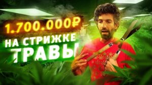 Tair Mamedov Instagram - Как быть нелегалом, не иметь разрешение на работу, не знать английский, и при этом зарабатывать десятки тысяч долларов? Одна из самых высокооплачиваемых работ для эмигранта в США - стрижка травы. ✂️🍀Опытный тример может зарабатывать $27000 за сезон. 💰💰💰Я провел целый день в этой роли и узнал все плюсы и минусы этой профессии. 🚭Помните - наркотики это зло. Не употребляйте! Ссылка на видео сами знаете где.  Спасибо за содействие в съемке - @bewilder.io
Бородач - @lobanov_la
