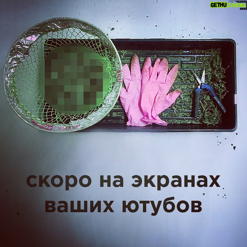 Tair Mamedov - 1.5K Likes - 🔞🚭🚯
