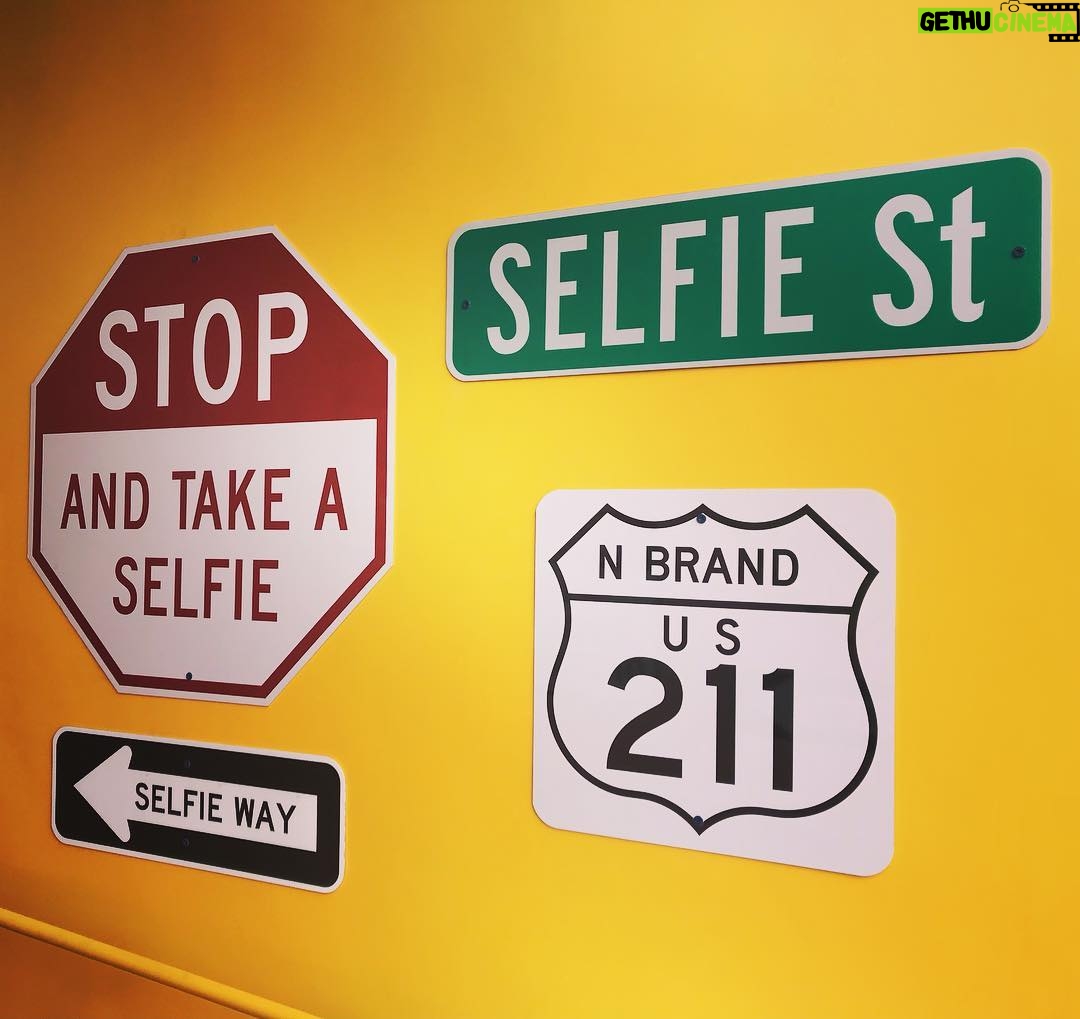 Tair Mamedov Instagram - #themuseumofselfies Museum of Selfies Las Vegas
