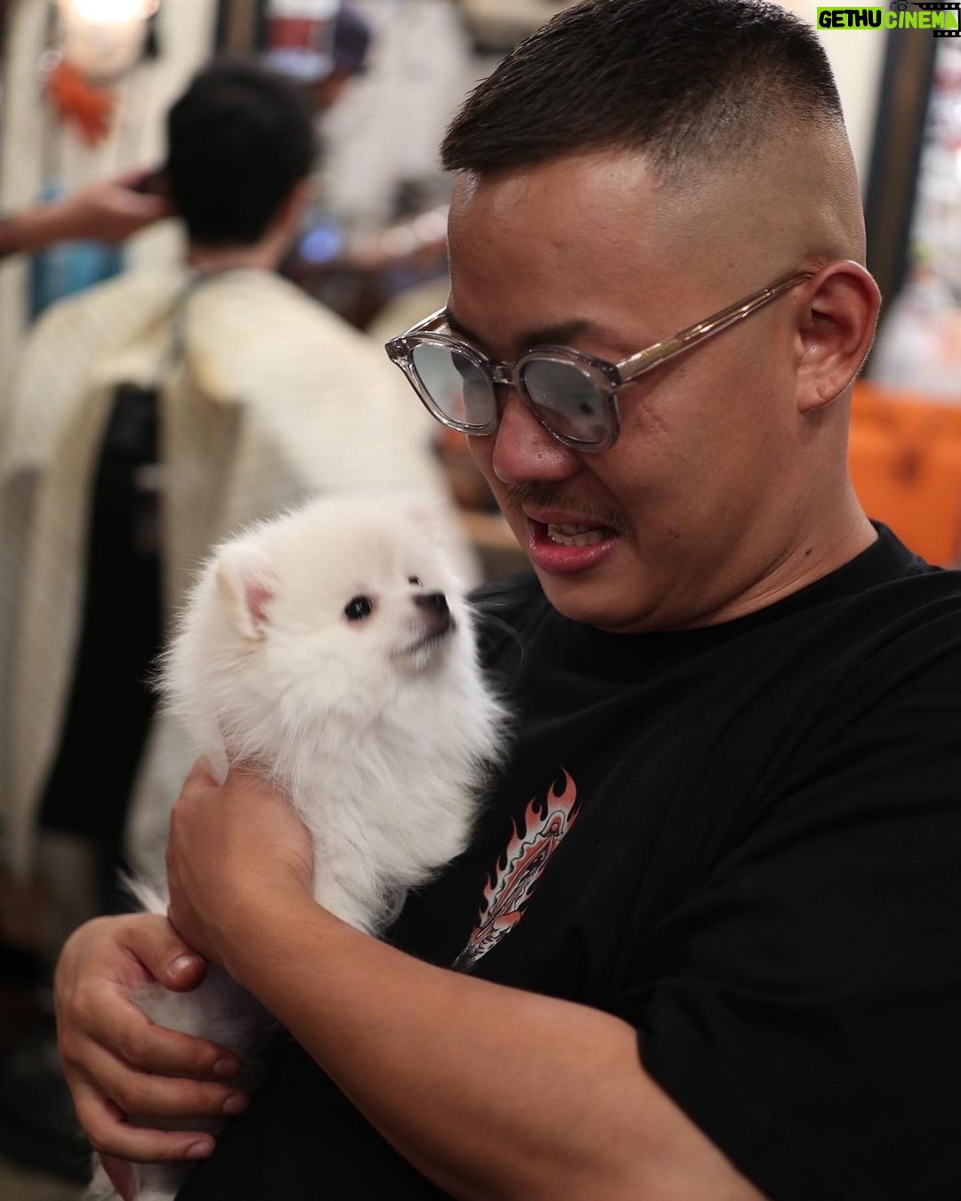 Takashi Sakai - 3.4K Likes - ポメ。
可愛いすぎる。よだれもんです。
スワンちゃん。
#クロップスタイル #フェードカット #スキンフェード