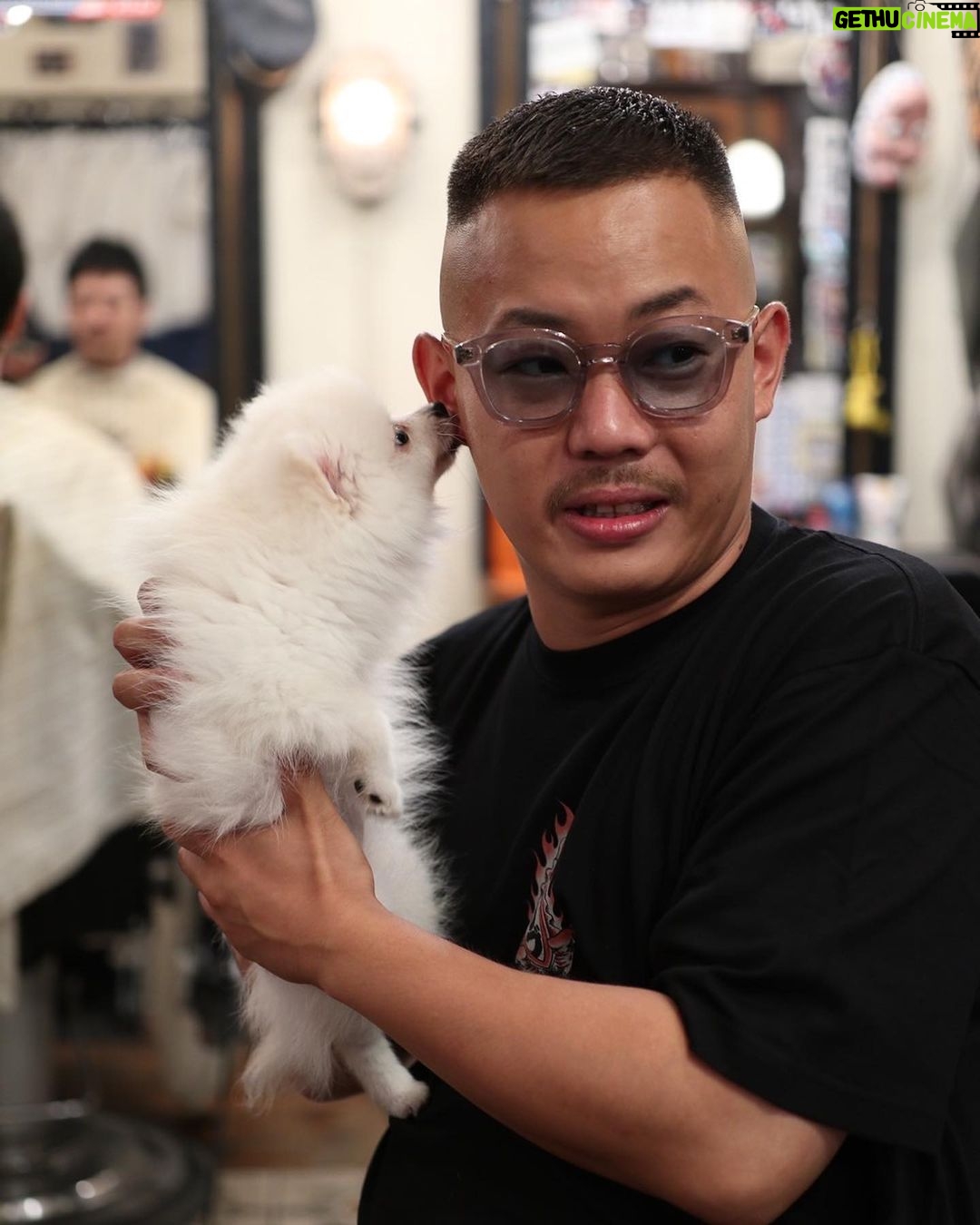 Takashi Sakai - 3.4K Likes - ポメ。
可愛いすぎる。よだれもんです。
スワンちゃん。
#クロップスタイル #フェードカット #スキンフェード