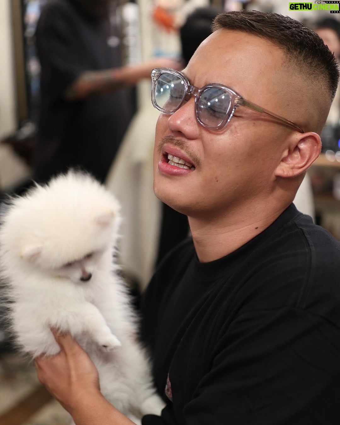 Takashi Sakai - 3.4K Likes - ポメ。
可愛いすぎる。よだれもんです。
スワンちゃん。
#クロップスタイル #フェードカット #スキンフェード