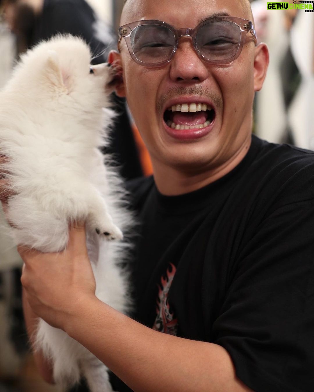 Takashi Sakai - 3.4K Likes - ポメ。
可愛いすぎる。よだれもんです。
スワンちゃん。
#クロップスタイル #フェードカット #スキンフェード