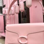 Takuya Kusakawa Instagram - “the COACH tabby shop（コーチ タビー ショップ）” アンノン原宿にて、4/2まで開催中のコーチの最新POP UPにお邪魔してきました💼 とても素敵な空間でした🌸 皆様も是非！ #コーチタビー　　 #InMyTabby　　 #CoachJapan