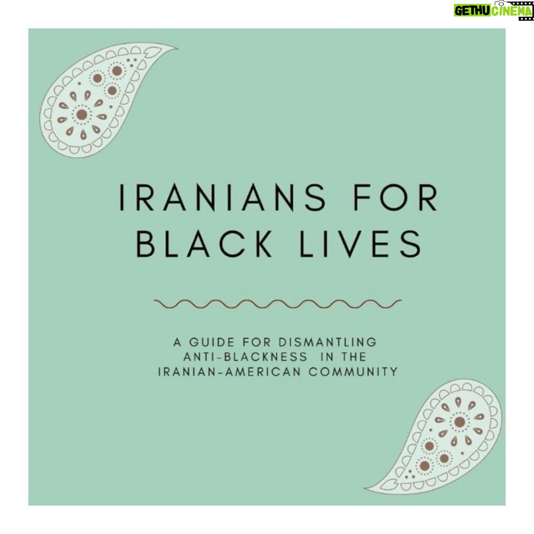 Tala Ashe Instagram - iranian-americans: we have work to do. thank you for this resource & for your advocacy @notapplicable44 @samalavi @danyallotfi @yosmin #iraniansforblacklives #blacklivesmatter