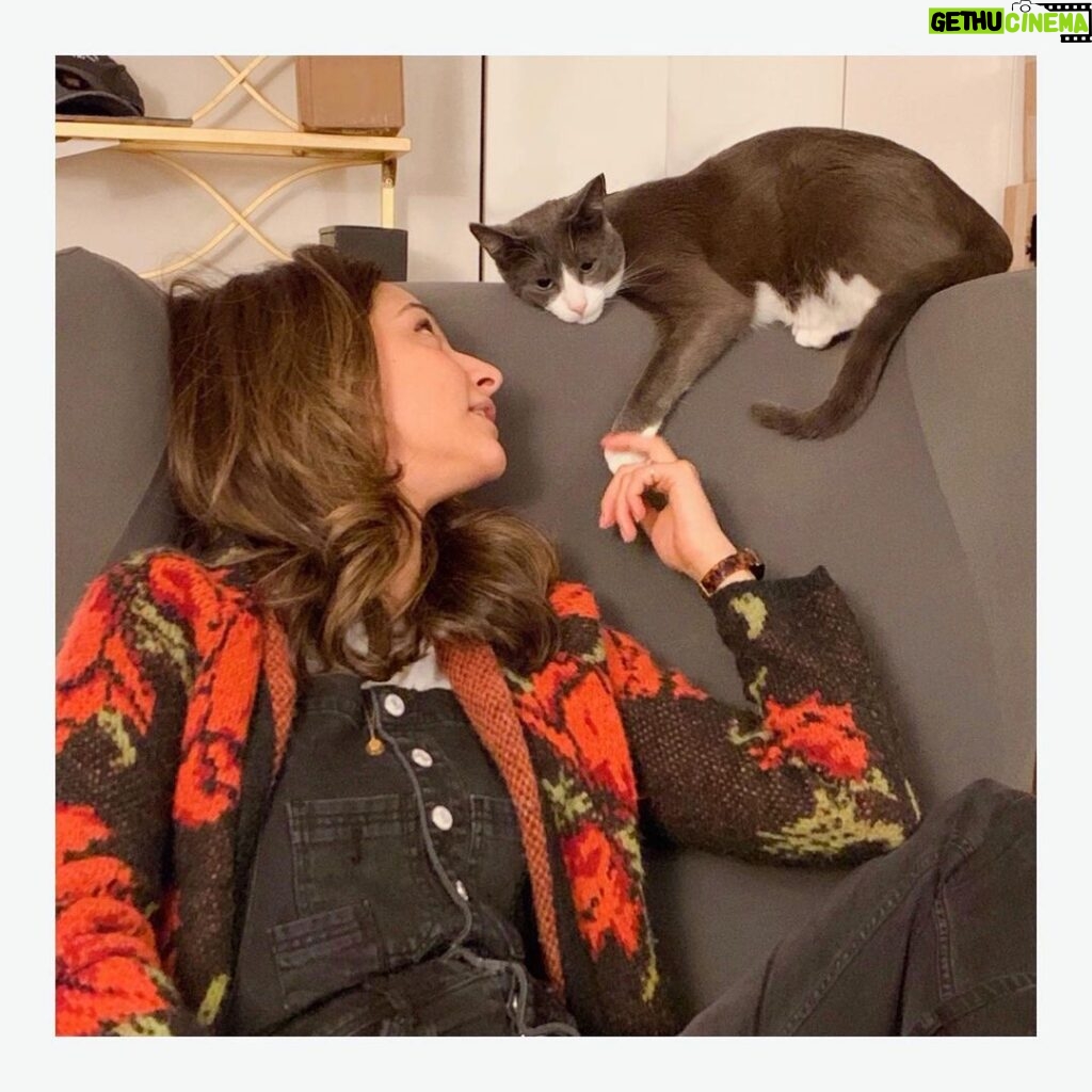 Tala Ashe Instagram - were you wondering what a bad cat therapist looks like