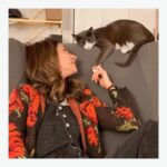 Tala Ashe Instagram - were you wondering what a bad cat therapist looks like
