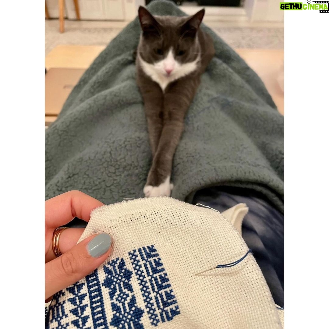 Tala Ashe Instagram - One of the things I love about acting is the excuse to dabble in skills decidedly different than my own. During the brilliant @monamansourplays The Vagrant Trilogy I was introduced to Palestinian embroidery, called tatreez. I started out wobbly, but eventually finished a larger piece with guidance and design from @themosaicrooms and the incredible artist @jordannassar I’m devastated by the horrors being inflicted on the men, women and children of Gaza and in my helplessness my hands found their way back to tatreez (and my cat found his way back to my lap). With @byjavad’s help, these little pieces have been elevated to a sort of ornament, pendant, or wall hanging of your choice. I’m raffling these pieces. All you need to do is 1) donate to @aneraorg , @thepcrf or @doctorswithoutborders 2) DM me the receipt 3) $5 will get you one entry (i.e. $20 = 4 entries) 4) I’ll do a drawing next week and pick winners at random. Thank you 🖤❤️💚
