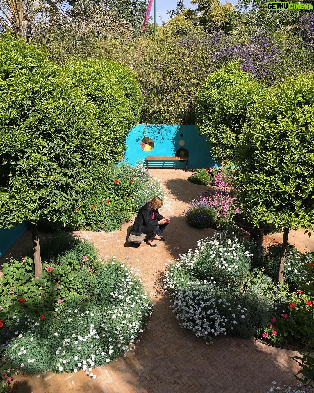 Tamy Emma Pepin - 3 Likes - En 2017, jāai eu le plaisir de discuter avec AndrĆ© Heller, artiste universaliste et crĆ©ateur du Jardin Anima de Marrakech (@animagardenofficial). Grand ami de Jean-Michel Basquiat et Andy Warhol, je me permets de partager un de ses messages, toujours aussi pertinent aujourdāhui šø
Had the great joy of meeting and chatting with AndrĆ© Heller in 2017. Andre Heller is the creator of Marrakechās whimsical Jardin Anima, an imaginative and healing botanical garden at the footsteps of the Atlas Mountains. A long-time friend of Jean-Michel Basquiat and Andy Warhol, Andre Hellerās message is still relevant today.
#quality
