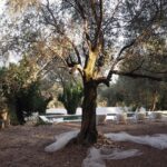 Tamy Emma Pepin Instagram - @jacquelinemorabito 🤍🌿 La Colle-sur-Loup