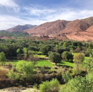 Tamy Emma Pepin Instagram - Je vous remercie de vos messages. Je vais bien. Mon coeur et mes pensées sont avec les familles des disparus. Je pense particulièrement aux enfants, aux hommes et aux femmes dans les montagnes de l’Atlas et dans les régions rurales. Selon @lemondefr plus de la moitié des morts sont dans les régions montagneuses d’Al Haouz et de Taroudant.

Des parties de la médina de Marrakech ont été touchées. Je n’ai aucun doute que le patrimoine bâti affecté sera reconstruit rapidement, toutefois cet écosystème humain a aussi besoin de notre appui. Pour les visiteurs, la ville et les alentours sont comme d’habitude. 

Sinon, je pense à la Terre. À cette énergie sous-terraine, relâchée à la surface vendredi soir. J’espère que nous saurons faire quelque chose de nouveau, de bon et de solidaire avec. 

Pour ceux qui désirent soutenir le Maroc : 

- Education For All (@efa_morocco) oeuvre dans l’Atlas et offre des environnements et opportunités d’apprentissage aux femmes et aux filles.

- Le Royaume a mis sur pied un compte spécial auprès du Trésor et Bank Al Maghrib, en vue de recevoir les contributions volontaires de solidarité des citoyens et des organismes privés et publics.

— Vous pouvez aussi visiter les gens du pays ❤️ 

Sur une note plus personnelle, je suis attristée par la perte de Tinmel. Ce lieu était pour moi très spécial; un sanctuaire spirituel pour tous les peuples et nations. 

Je souhaite donc au Maroc de préserver l’écologie et l’esprit de ces environnements, et d’aider les populations rurales à se rebâtir rapidement et en harmonie. 

Je partagerai des liens et ressources dans les stories et highlights. Vous pouvez aussi m’en envoyer en Dm. 

A bientôt