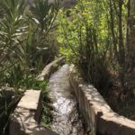 Tamy Emma Pepin Instagram - Je vous remercie de vos messages. Je vais bien. Mon coeur et mes pensées sont avec les familles des disparus. Je pense particulièrement aux enfants, aux hommes et aux femmes dans les montagnes de l’Atlas et dans les régions rurales. Selon @lemondefr plus de la moitié des morts sont dans les régions montagneuses d’Al Haouz et de Taroudant. Des parties de la médina de Marrakech ont été touchées. Je n’ai aucun doute que le patrimoine bâti affecté sera reconstruit rapidement, toutefois cet écosystème humain a aussi besoin de notre appui. Pour les visiteurs, la ville et les alentours sont comme d’habitude. Sinon, je pense à la Terre. À cette énergie sous-terraine, relâchée à la surface vendredi soir. J’espère que nous saurons faire quelque chose de nouveau, de bon et de solidaire avec. Pour ceux qui désirent soutenir le Maroc : - Education For All (@efa_morocco) oeuvre dans l’Atlas et offre des environnements et opportunités d’apprentissage aux femmes et aux filles. - Le Royaume a mis sur pied un compte spécial auprès du Trésor et Bank Al Maghrib, en vue de recevoir les contributions volontaires de solidarité des citoyens et des organismes privés et publics. — Vous pouvez aussi visiter les gens du pays ❤️ Sur une note plus personnelle, je suis attristée par la perte de Tinmel. Ce lieu était pour moi très spécial; un sanctuaire spirituel pour tous les peuples et nations. Je souhaite donc au Maroc de préserver l’écologie et l’esprit de ces environnements, et d’aider les populations rurales à se rebâtir rapidement et en harmonie. Je partagerai des liens et ressources dans les stories et highlights. Vous pouvez aussi m’en envoyer en Dm. A bientôt