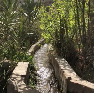 Tamy Emma Pepin Instagram - Je vous remercie de vos messages. Je vais bien. Mon coeur et mes pensées sont avec les familles des disparus. Je pense particulièrement aux enfants, aux hommes et aux femmes dans les montagnes de l’Atlas et dans les régions rurales. Selon @lemondefr plus de la moitié des morts sont dans les régions montagneuses d’Al Haouz et de Taroudant.

Des parties de la médina de Marrakech ont été touchées. Je n’ai aucun doute que le patrimoine bâti affecté sera reconstruit rapidement, toutefois cet écosystème humain a aussi besoin de notre appui. Pour les visiteurs, la ville et les alentours sont comme d’habitude. 

Sinon, je pense à la Terre. À cette énergie sous-terraine, relâchée à la surface vendredi soir. J’espère que nous saurons faire quelque chose de nouveau, de bon et de solidaire avec. 

Pour ceux qui désirent soutenir le Maroc : 

- Education For All (@efa_morocco) oeuvre dans l’Atlas et offre des environnements et opportunités d’apprentissage aux femmes et aux filles.

- Le Royaume a mis sur pied un compte spécial auprès du Trésor et Bank Al Maghrib, en vue de recevoir les contributions volontaires de solidarité des citoyens et des organismes privés et publics.

— Vous pouvez aussi visiter les gens du pays ❤️ 

Sur une note plus personnelle, je suis attristée par la perte de Tinmel. Ce lieu était pour moi très spécial; un sanctuaire spirituel pour tous les peuples et nations. 

Je souhaite donc au Maroc de préserver l’écologie et l’esprit de ces environnements, et d’aider les populations rurales à se rebâtir rapidement et en harmonie. 

Je partagerai des liens et ressources dans les stories et highlights. Vous pouvez aussi m’en envoyer en Dm. 

A bientôt