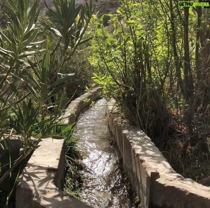 Tamy Emma Pepin Instagram - Je vous remercie de vos messages. Je vais bien. Mon coeur et mes pensées sont avec les familles des disparus. Je pense particulièrement aux enfants, aux hommes et aux femmes dans les montagnes de l’Atlas et dans les régions rurales. Selon @lemondefr plus de la moitié des morts sont dans les régions montagneuses d’Al Haouz et de Taroudant. Des parties de la médina de Marrakech ont été touchées. Je n’ai aucun doute que le patrimoine bâti affecté sera reconstruit rapidement, toutefois cet écosystème humain a aussi besoin de notre appui. Pour les visiteurs, la ville et les alentours sont comme d’habitude. Sinon, je pense à la Terre. À cette énergie sous-terraine, relâchée à la surface vendredi soir. J’espère que nous saurons faire quelque chose de nouveau, de bon et de solidaire avec. Pour ceux qui désirent soutenir le Maroc : - Education For All (@efa_morocco) oeuvre dans l’Atlas et offre des environnements et opportunités d’apprentissage aux femmes et aux filles. - Le Royaume a mis sur pied un compte spécial auprès du Trésor et Bank Al Maghrib, en vue de recevoir les contributions volontaires de solidarité des citoyens et des organismes privés et publics. — Vous pouvez aussi visiter les gens du pays ❤️ Sur une note plus personnelle, je suis attristée par la perte de Tinmel. Ce lieu était pour moi très spécial; un sanctuaire spirituel pour tous les peuples et nations. Je souhaite donc au Maroc de préserver l’écologie et l’esprit de ces environnements, et d’aider les populations rurales à se rebâtir rapidement et en harmonie. Je partagerai des liens et ressources dans les stories et highlights. Vous pouvez aussi m’en envoyer en Dm. A bientôt