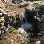 Tamy Emma Pepin Instagram - Je vous remercie de vos messages. Je vais bien. Mon coeur et mes pensées sont avec les familles des disparus. Je pense particulièrement aux enfants, aux hommes et aux femmes dans les montagnes de l’Atlas et dans les régions rurales. Selon @lemondefr plus de la moitié des morts sont dans les régions montagneuses d’Al Haouz et de Taroudant. Des parties de la médina de Marrakech ont été touchées. Je n’ai aucun doute que le patrimoine bâti affecté sera reconstruit rapidement, toutefois cet écosystème humain a aussi besoin de notre appui. Pour les visiteurs, la ville et les alentours sont comme d’habitude. Sinon, je pense à la Terre. À cette énergie sous-terraine, relâchée à la surface vendredi soir. J’espère que nous saurons faire quelque chose de nouveau, de bon et de solidaire avec. Pour ceux qui désirent soutenir le Maroc : - Education For All (@efa_morocco) oeuvre dans l’Atlas et offre des environnements et opportunités d’apprentissage aux femmes et aux filles. - Le Royaume a mis sur pied un compte spécial auprès du Trésor et Bank Al Maghrib, en vue de recevoir les contributions volontaires de solidarité des citoyens et des organismes privés et publics. — Vous pouvez aussi visiter les gens du pays ❤️ Sur une note plus personnelle, je suis attristée par la perte de Tinmel. Ce lieu était pour moi très spécial; un sanctuaire spirituel pour tous les peuples et nations. Je souhaite donc au Maroc de préserver l’écologie et l’esprit de ces environnements, et d’aider les populations rurales à se rebâtir rapidement et en harmonie. Je partagerai des liens et ressources dans les stories et highlights. Vous pouvez aussi m’en envoyer en Dm. A bientôt