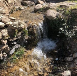 Tamy Emma Pepin Instagram - Je vous remercie de vos messages. Je vais bien. Mon coeur et mes pensées sont avec les familles des disparus. Je pense particulièrement aux enfants, aux hommes et aux femmes dans les montagnes de l’Atlas et dans les régions rurales. Selon @lemondefr plus de la moitié des morts sont dans les régions montagneuses d’Al Haouz et de Taroudant.

Des parties de la médina de Marrakech ont été touchées. Je n’ai aucun doute que le patrimoine bâti affecté sera reconstruit rapidement, toutefois cet écosystème humain a aussi besoin de notre appui. Pour les visiteurs, la ville et les alentours sont comme d’habitude. 

Sinon, je pense à la Terre. À cette énergie sous-terraine, relâchée à la surface vendredi soir. J’espère que nous saurons faire quelque chose de nouveau, de bon et de solidaire avec. 

Pour ceux qui désirent soutenir le Maroc : 

- Education For All (@efa_morocco) oeuvre dans l’Atlas et offre des environnements et opportunités d’apprentissage aux femmes et aux filles.

- Le Royaume a mis sur pied un compte spécial auprès du Trésor et Bank Al Maghrib, en vue de recevoir les contributions volontaires de solidarité des citoyens et des organismes privés et publics.

— Vous pouvez aussi visiter les gens du pays ❤️ 

Sur une note plus personnelle, je suis attristée par la perte de Tinmel. Ce lieu était pour moi très spécial; un sanctuaire spirituel pour tous les peuples et nations. 

Je souhaite donc au Maroc de préserver l’écologie et l’esprit de ces environnements, et d’aider les populations rurales à se rebâtir rapidement et en harmonie. 

Je partagerai des liens et ressources dans les stories et highlights. Vous pouvez aussi m’en envoyer en Dm. 

A bientôt