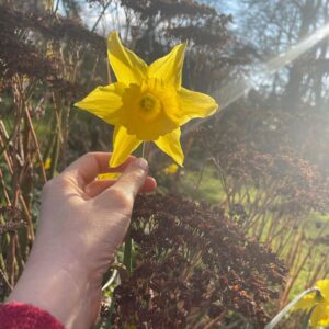 Tamzin Merchant Instagram - Signs of Spring 💛🌼🌸

Daffodils blooming, tiny buds breaking... and my dad going full Ghostbusters with his jet-washer on a plant pot 😂