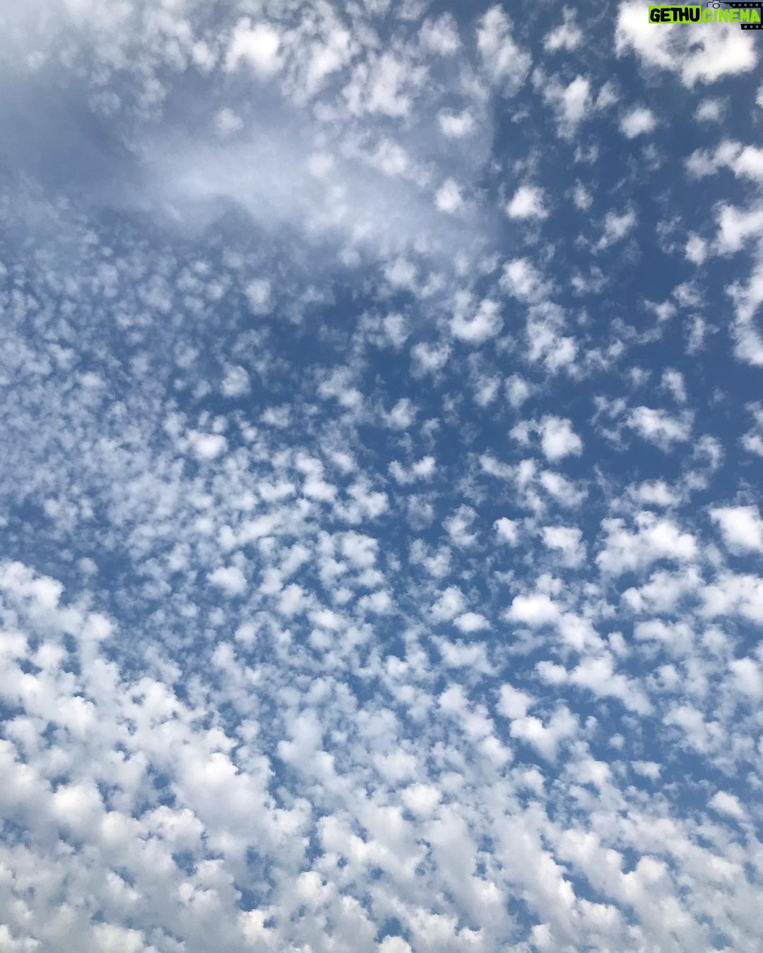 Tamzin Merchant - 0.9K Likes - Instead of watching my phone, I am going to watch the clouds 💙
And (so my phone doesn’t get in the way of my view of the sky) I am taking a break from social media for a while. 😘