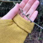 Tamzin Merchant Instagram - Signs of Spring 💛🌼🌸 Daffodils blooming, tiny buds breaking... and my dad going full Ghostbusters with his jet-washer on a plant pot 😂