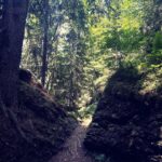 Tamzin Merchant Instagram - The way through the woods ✨