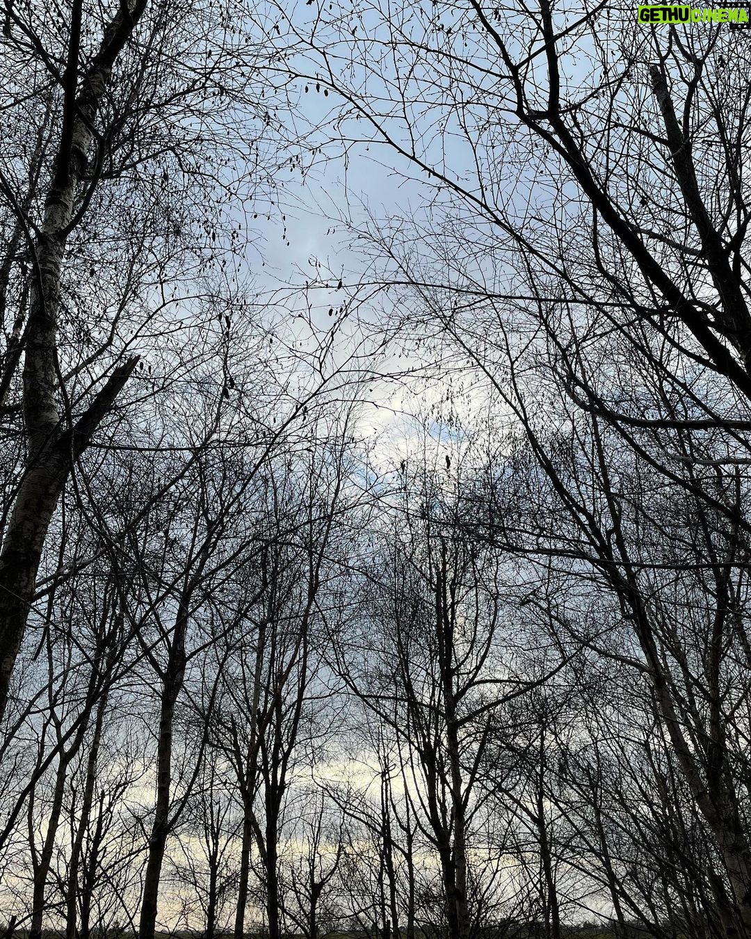 Tamzin Merchant Instagram - ✨Happy Winter Solstice✨