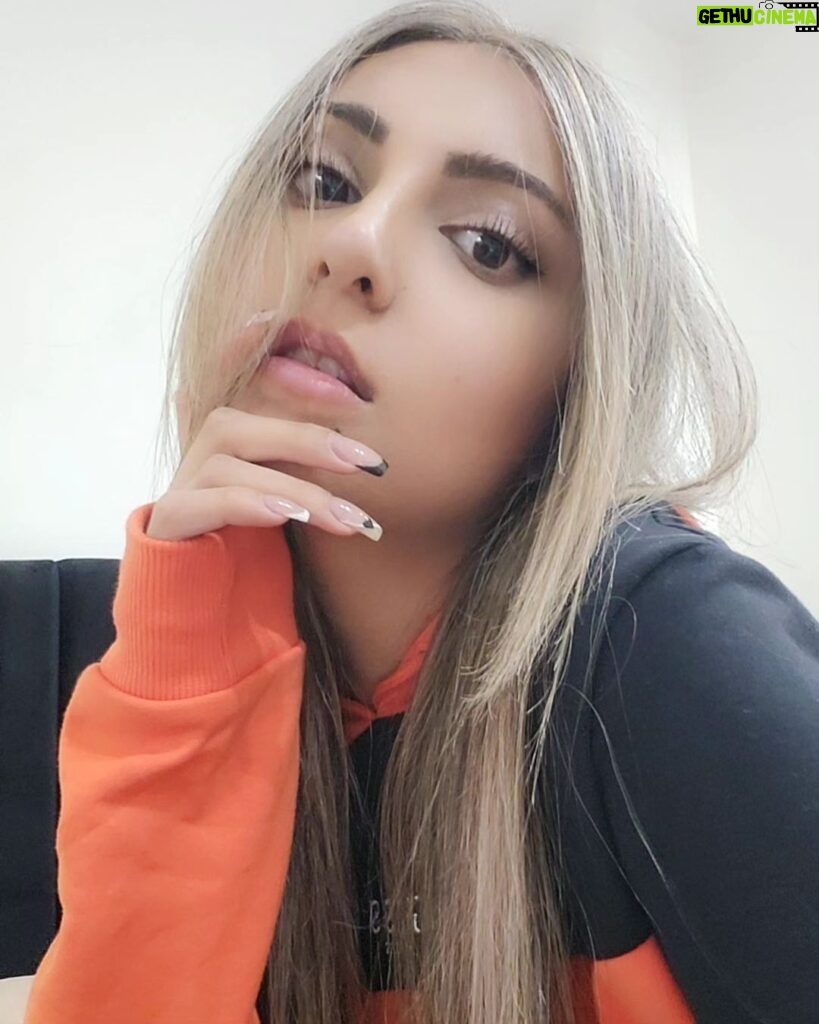 Tannaz Davoodi Instagram - Blonde Tannie🤭✨️ ☆ ☆ ☆ ☆ ☆ ☆ #newhair #blonde #newhairstyle #blondehair #blondie #girl #persian #iranian #irani #persiangirl #iraniangirl #iran #tehran #orange #guess #guessoutfit #hoodie #fashion #dokhtarirani #browneyes #love #instafashion #newme Tehran, Iran
