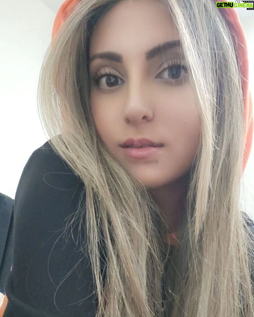 Tannaz Davoodi Instagram - Blonde Tannie🤭✨️ ☆ ☆ ☆ ☆ ☆ ☆ #newhair #blonde #newhairstyle #blondehair #blondie #girl #persian #iranian #irani #persiangirl #iraniangirl #iran #tehran #orange #guess #guessoutfit #hoodie #fashion #dokhtarirani #browneyes #love #instafashion #newme Tehran, Iran