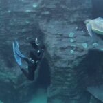 Tanya van Graan Instagram - Only fish allowed, best you blend in. 🐟😎🐢 Thank you @2oceansaquarium 🙌🏼🙏🏼💙